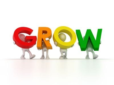What help do you need to help you grow your business? What help do you need to help you grow your business?
